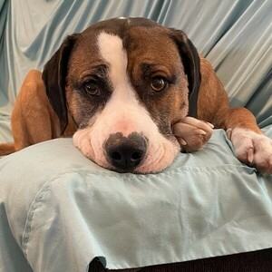 Fundraising Page: Kelly Fleshood